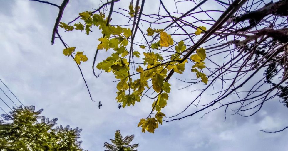 Σύννεφα, βροχές, ψύχρα και δυνατοί άνεμοι